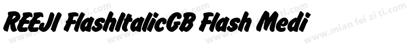 REEJI FlashItalicGB Flash Medium字体转换